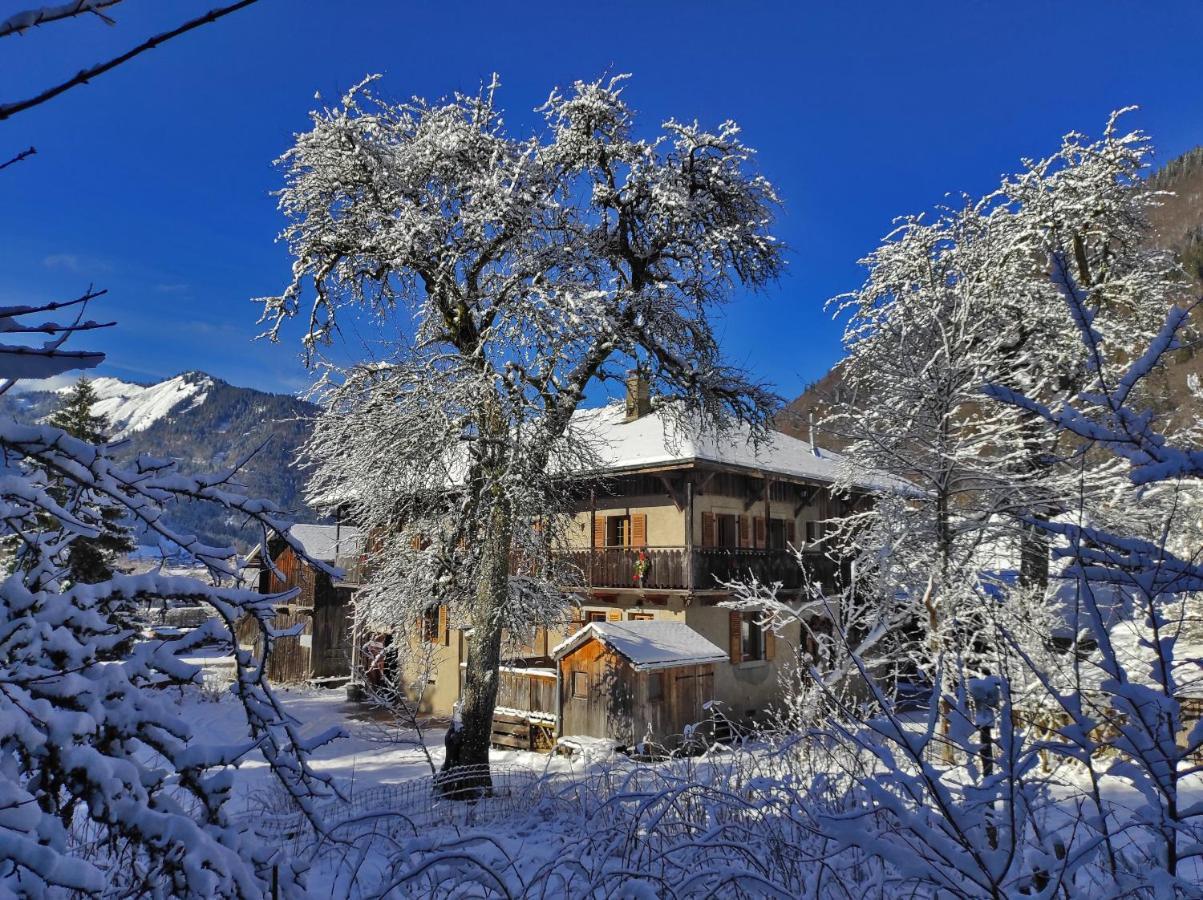Appartement 6 Pers 70 M² Dans Chalet Chez Marie Montriond Ngoại thất bức ảnh