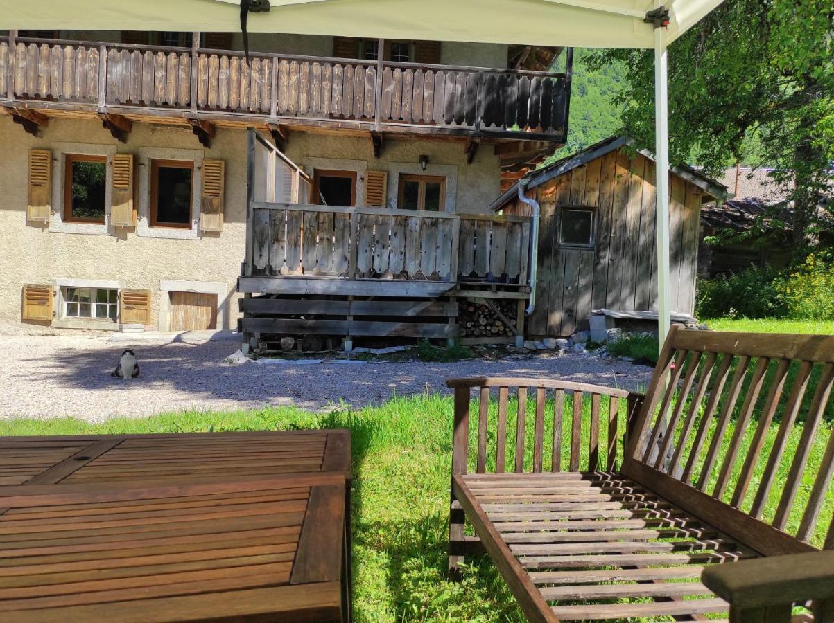 Appartement 6 Pers 70 M² Dans Chalet Chez Marie Montriond Ngoại thất bức ảnh